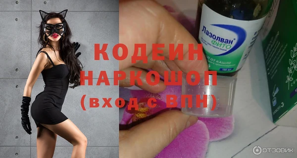 сатива Арсеньев